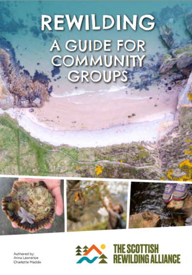 Report Cover