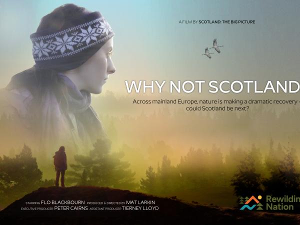 Watch 'Why Not Scotland?'