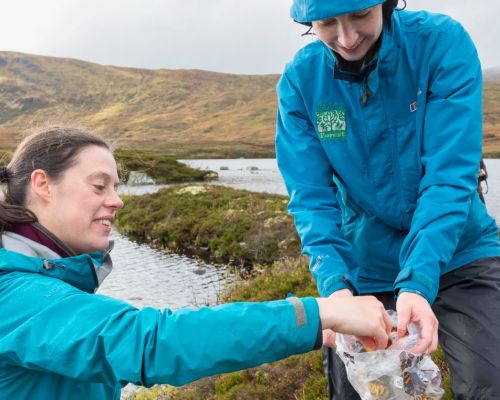 The Mountain Birch Project