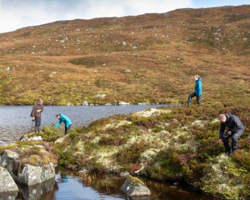 The Mountain Birch Project