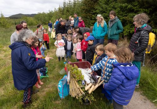 The village that raised a forest