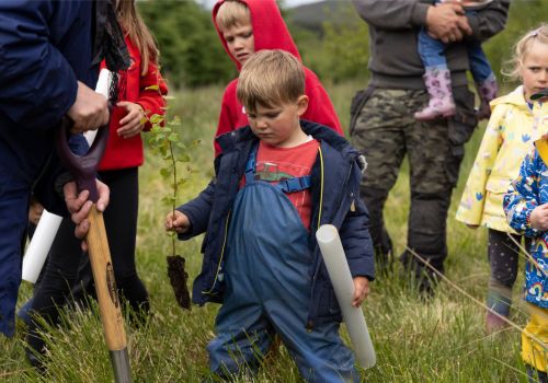 The village that raised a forest