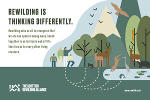 Rewilding is thinking differently