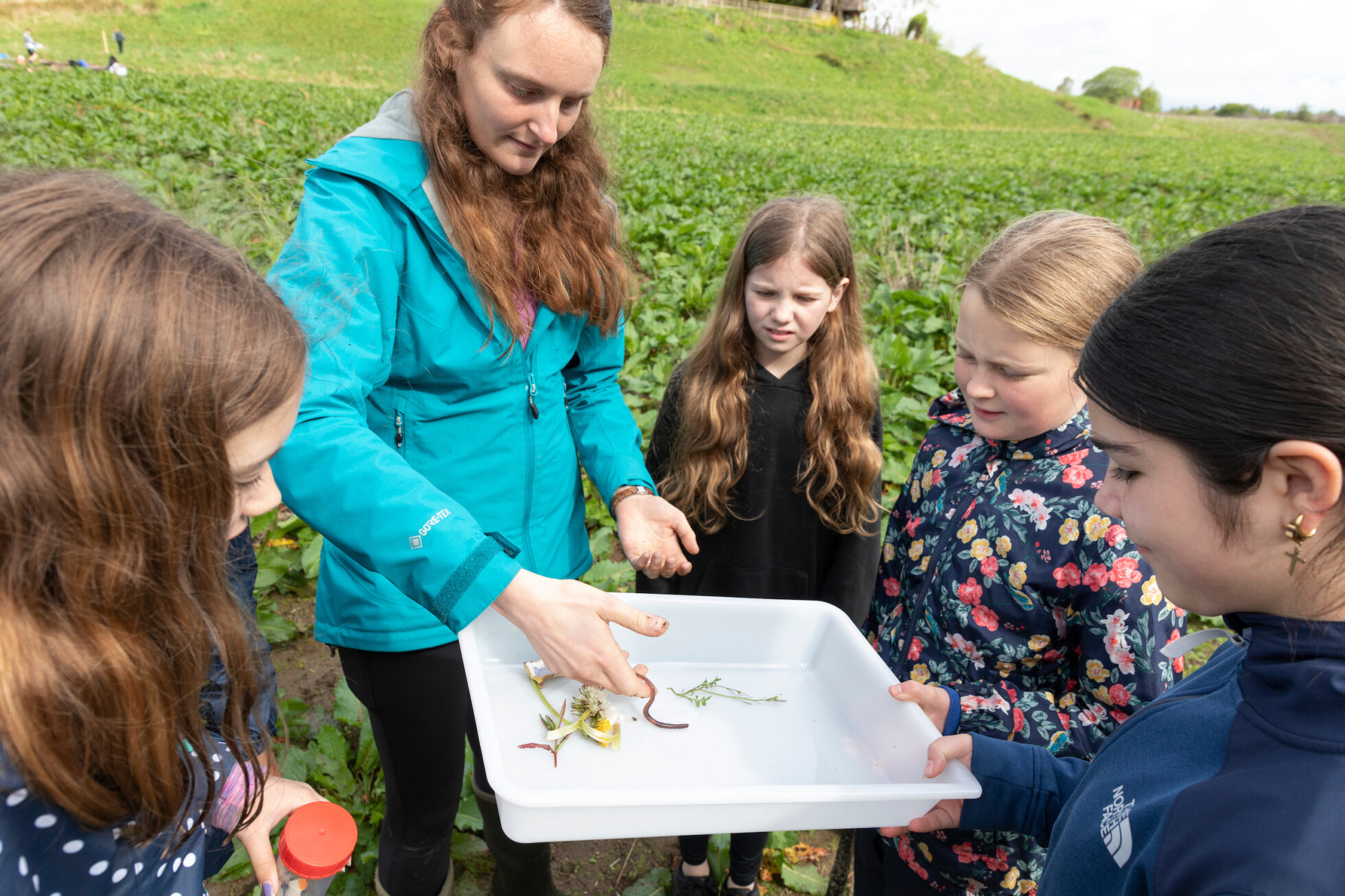 Opinion piece: Call for the rewilding and land reform movements to put communities at their heart