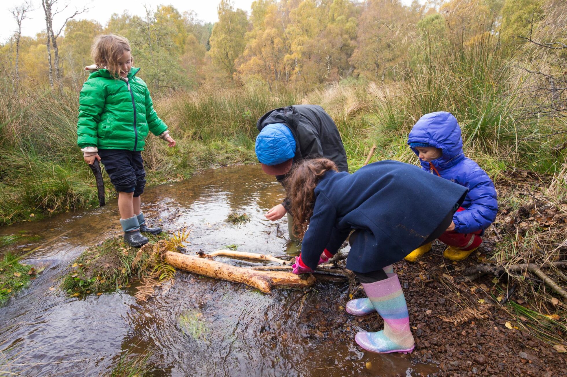 Statement: Nature Restoration Fund reallocation is a mistake the government can’t afford to make