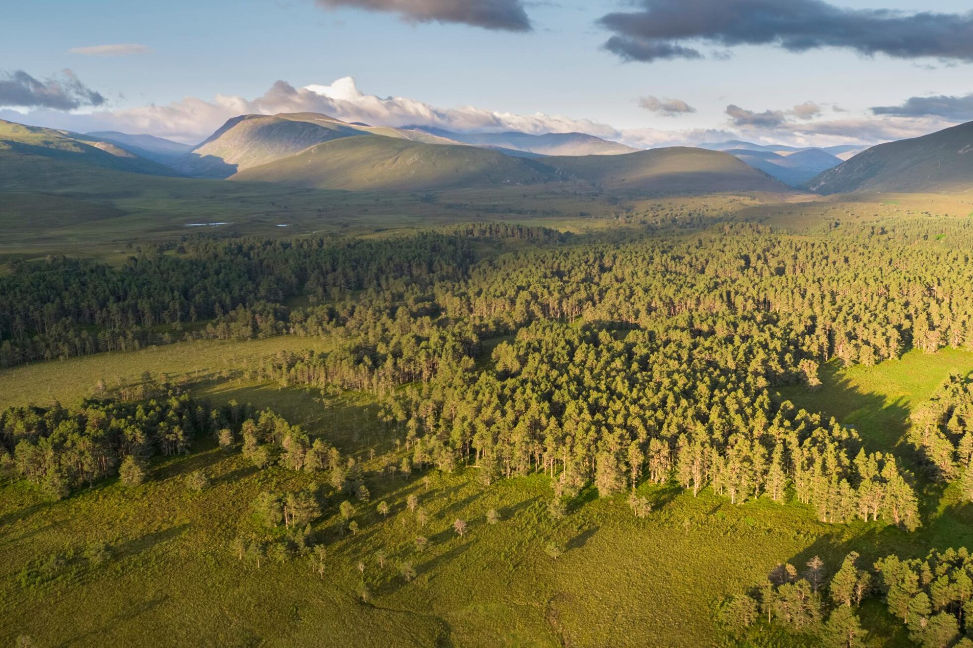 Rewilding Nation declaration call for Scotland as Charter launched