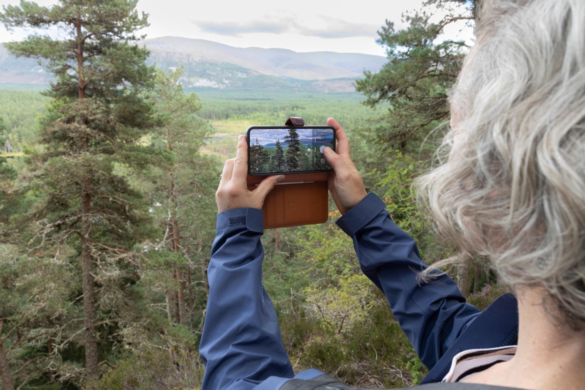 Rewilding Nation campaign backed by Hollywood actor Leonardo DiCaprio seeks to raise £200,000 in one week