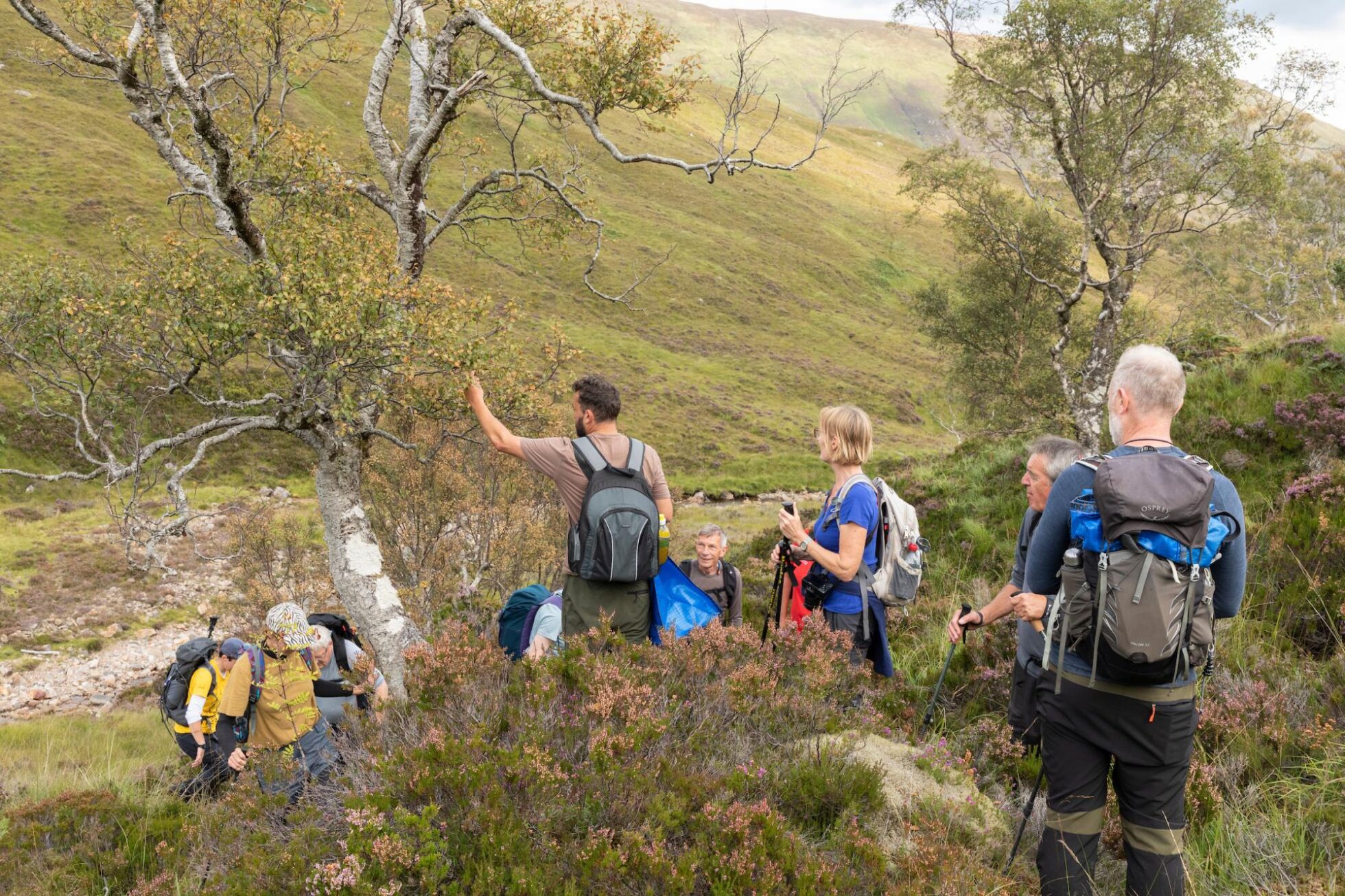 Respond to the Scottish Government’s Nature Emergency Consultation