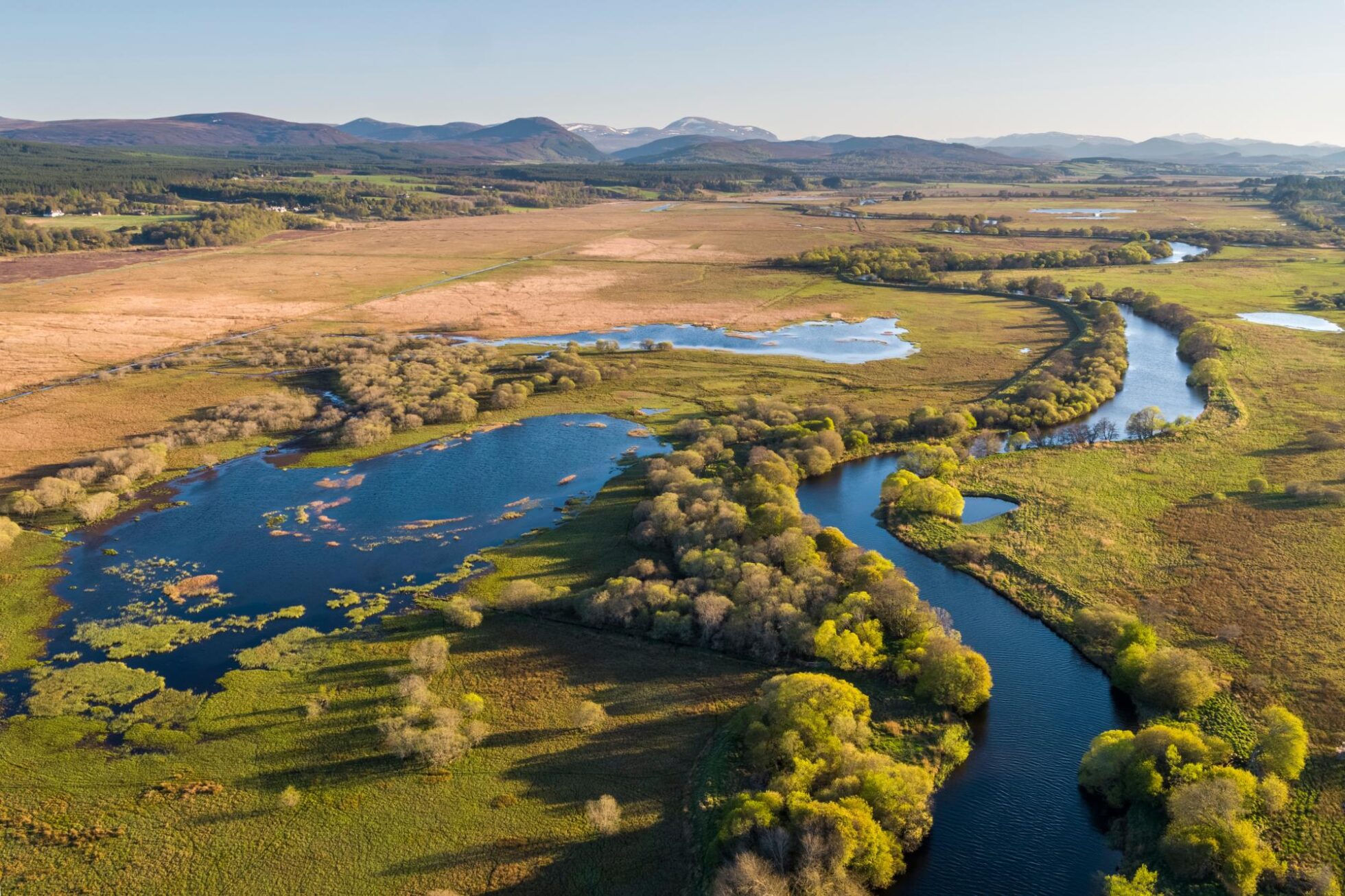 80% of Scots want more rewilding action from Scottish Government, polling shows