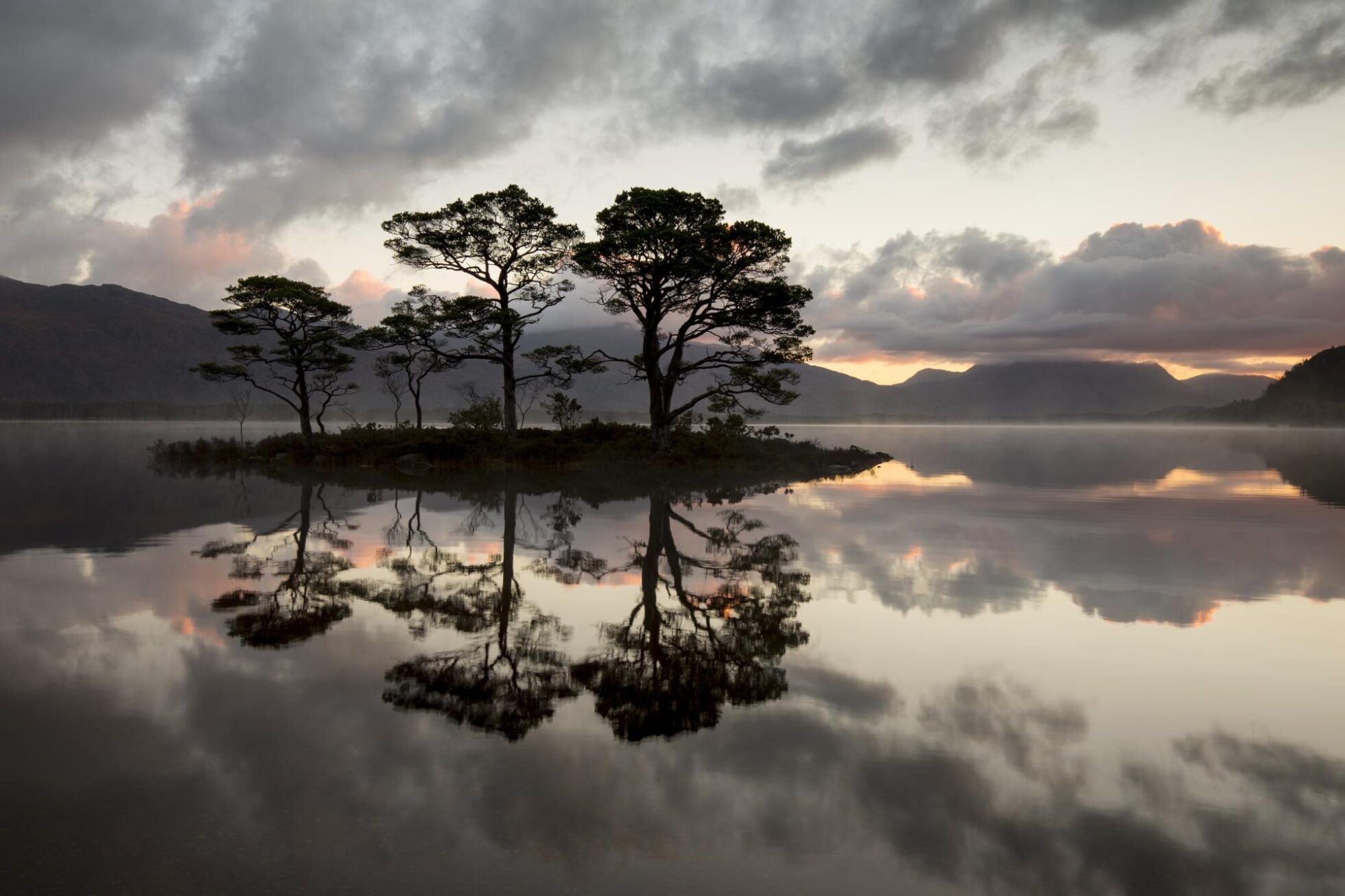 Statement: Scotland can be a world leader when it comes to restoring and rewilding our natural environment