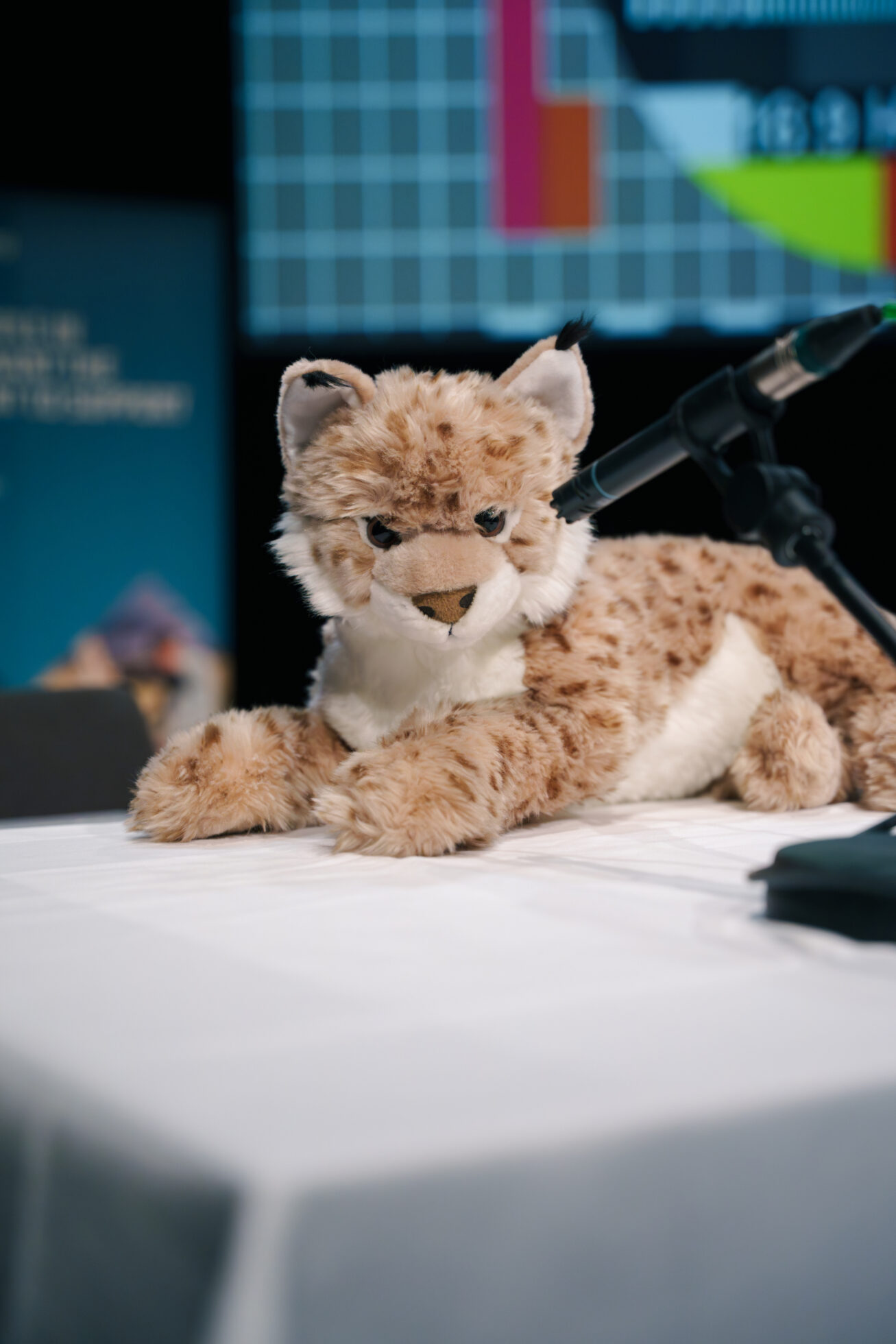 Photograph of toy lynx on table with microphone aimed at its face