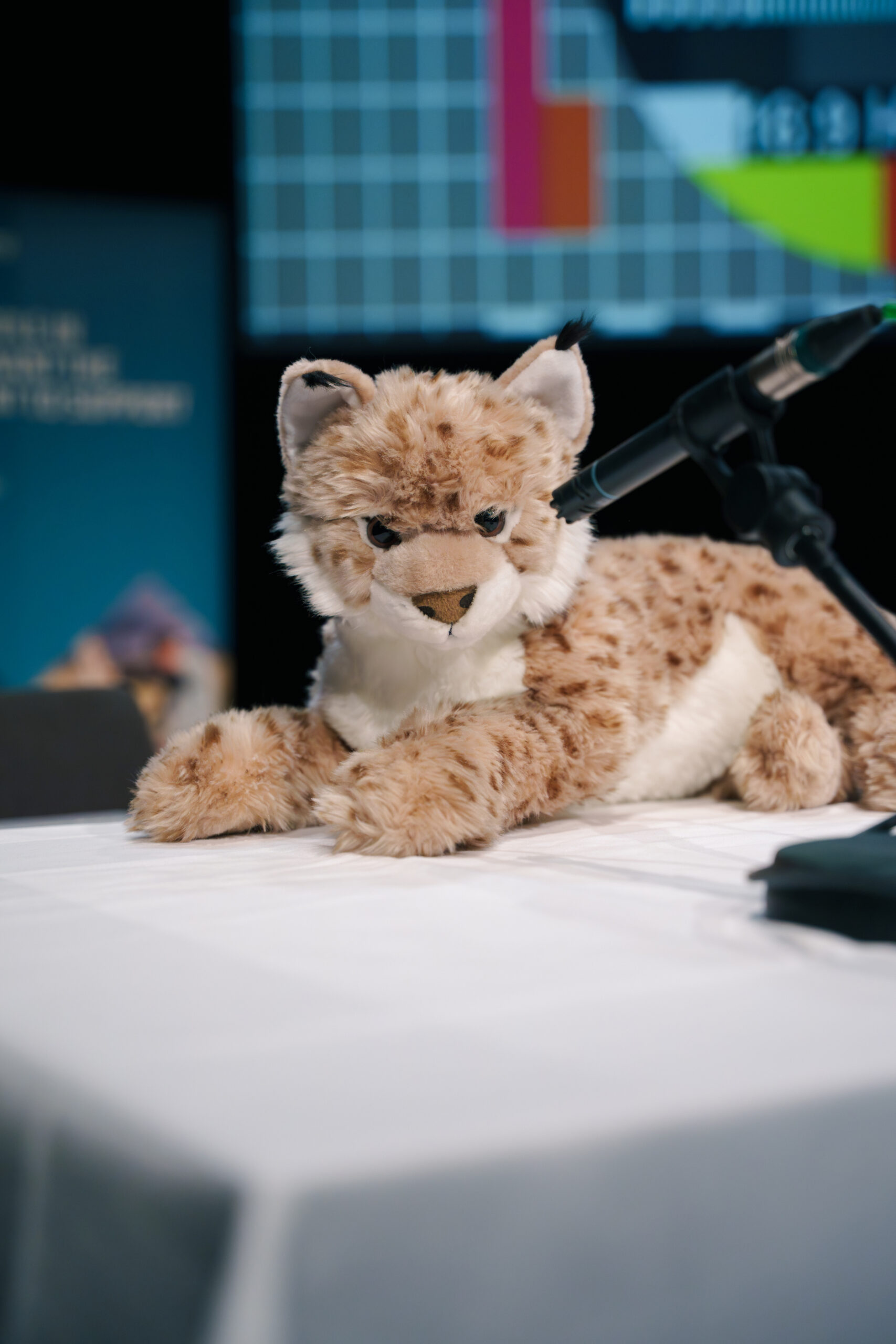 Photograph of toy lynx on table with microphone aimed at its face