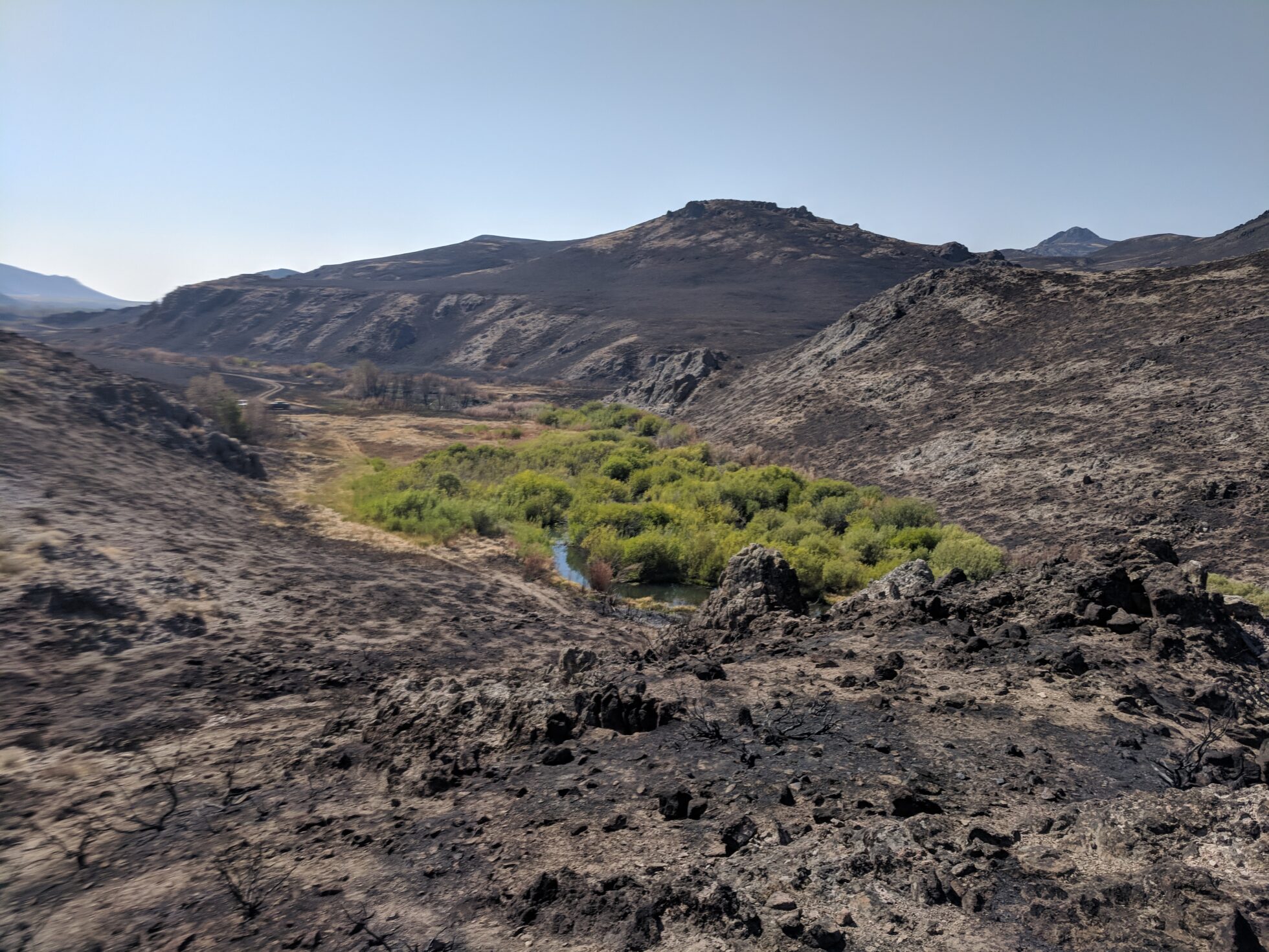 Photograph of burned landscape with green wet oasis in the centre